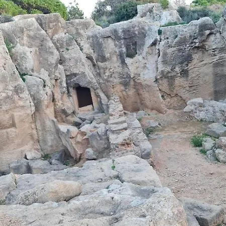 Bee Paphos