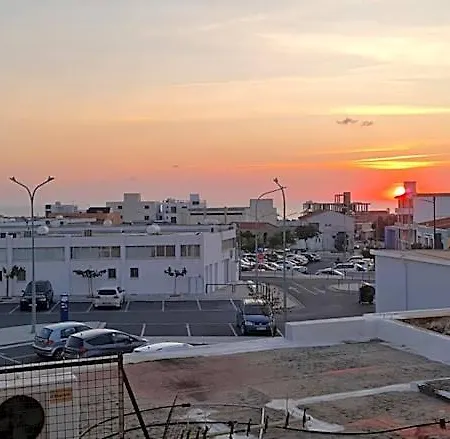 Bee Paphos