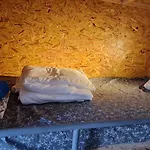 Albergue Bee